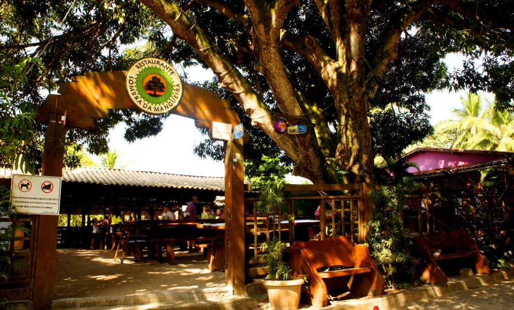 Sombra da mangueira Diogo