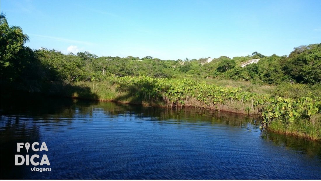 Diogo Praia de santo antonio bahia